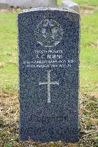 Glasgow (St. Kentigern's) Roman Catholic Cemetery - Burns, Alexander Clarke