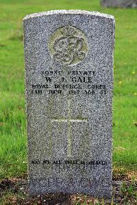 Glasgow (St. Kentigern's) Roman Catholic Cemetery - Gale, W J