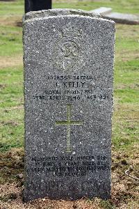 Glasgow (St. Kentigern's) Roman Catholic Cemetery - Kelly, James