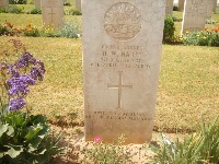 Gaza War Cemetery - Harte, Harry Walter