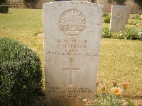 Gaza War Cemetery - Shephard, Frank