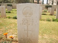 Gaza War Cemetery - Shields, Robert William