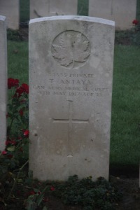 Aubigny Communal Cemetery Extension - Antaya, T