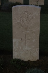 Aubigny Communal Cemetery Extension - Colley, William Thomas