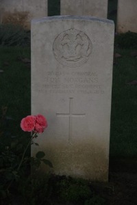 Aubigny Communal Cemetery Extension - Morgans, Thomas