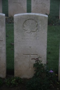 Aubigny Communal Cemetery Extension - Newman, Walter