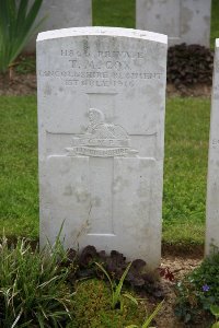 Gordon Dump Cemetery Ovillers-La Boisselle - Cox, T M