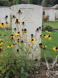 Carnoy Military Cemetery - Nutley, F