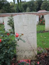 Carnoy Military Cemetery - Rose, H