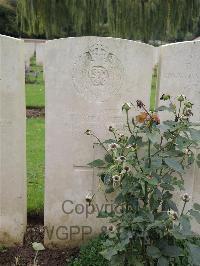 Carnoy Military Cemetery - Stringer, F