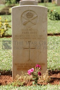 BEIRUT WAR CEMETERY - AVES, FRED