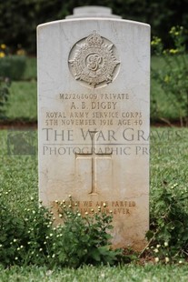 BEIRUT WAR CEMETERY - DIGBY, ALBERT BUTCHER