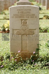 BEIRUT WAR CEMETERY - FELLOWS, FRANK