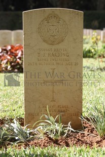 BEIRUT WAR CEMETERY - HARDING, THOMAS JAMES