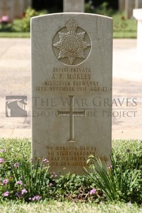 BEIRUT WAR CEMETERY - MORLEY, ALBERT PERCY