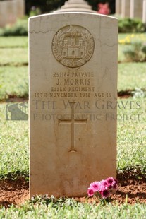 BEIRUT WAR CEMETERY - MORRIS, JOSEF