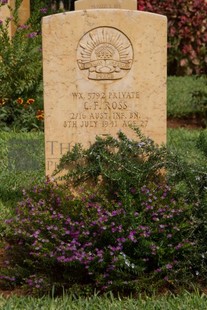 BEIRUT WAR CEMETERY - ROSS, CHARLES FORBES