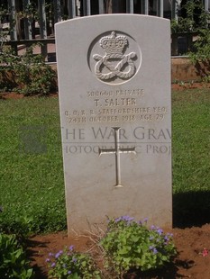 BEIRUT WAR CEMETERY - SALTER, T