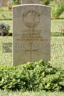 BEIRUT WAR CEMETERY - STEWART, D