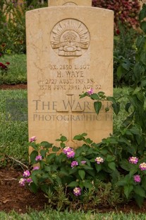 BEIRUT WAR CEMETERY - WAYE, HARRY