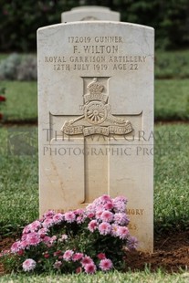 BEIRUT WAR CEMETERY - WILTON, FRANK