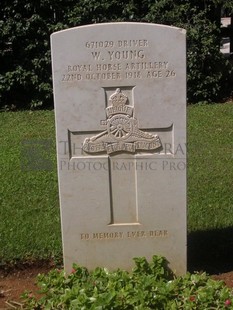 BEIRUT WAR CEMETERY - YOUNG, WILLIAM