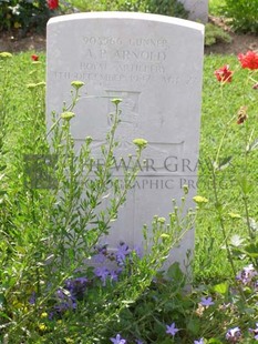 ANCONA WAR CEMETERY - ARNOLD, DOUGLAS PERCY