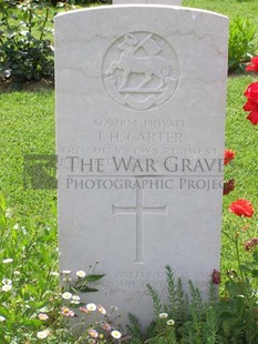 ANCONA WAR CEMETERY - CARTER, JAMES HENRY