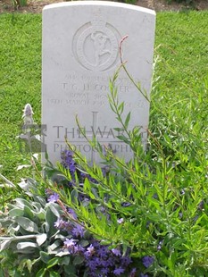 ANCONA WAR CEMETERY - COCKER, THOMAS GARITH HOWS