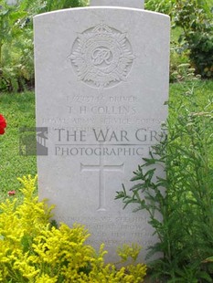 ANCONA WAR CEMETERY - COLLINS, THOMAS HENRY