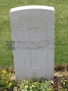 ANCONA WAR CEMETERY - COTTON, WILLIAM ERNEST