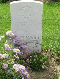 ANCONA WAR CEMETERY - DAWSON, THOMAS HENRY