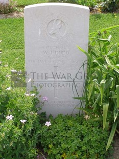 ANCONA WAR CEMETERY - DODD, W J