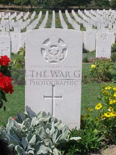 ANCONA WAR CEMETERY - ELLIS, ROBERT