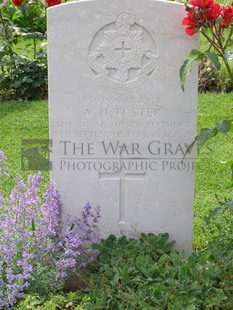 ANCONA WAR CEMETERY - FOSTER, ALBERT HENRY