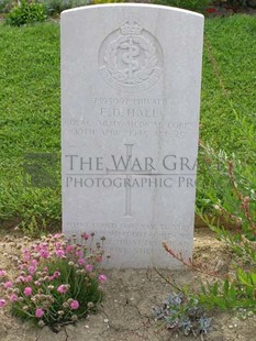 ANCONA WAR CEMETERY - HALL, EDWARD D.