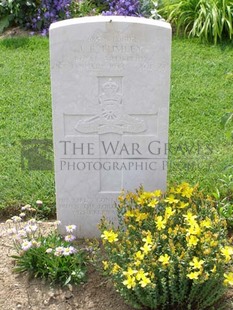 ANCONA WAR CEMETERY - LUMLEY, JOSEPH EDWARD