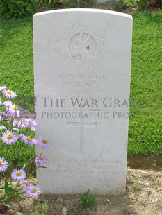 ANCONA WAR CEMETERY - NEL, W A