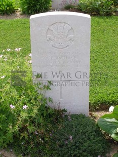 ANCONA WAR CEMETERY - PURCHASE, JOSEPH