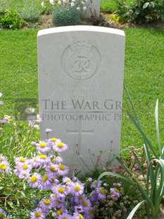 ANCONA WAR CEMETERY - PURSLOW, FRANK