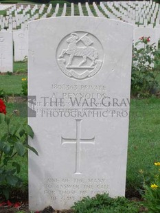 ANCONA WAR CEMETERY - REYNOLDS, ALBERT