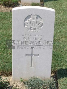 ANCONA WAR CEMETERY - RIDGE, WILLIAM HENRY