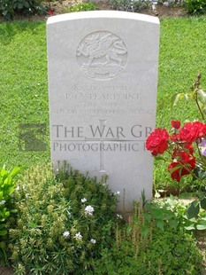 ANCONA WAR CEMETERY - SPEARPOINT, PETER CHARLES