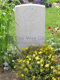 ANCONA WAR CEMETERY - TAYLOR, RICHARD