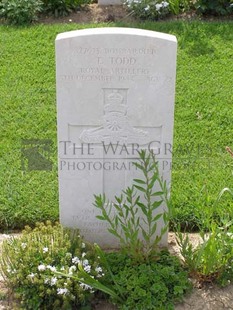 ANCONA WAR CEMETERY - TODD, THOMAS