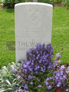 ANCONA WAR CEMETERY - WALKER, GEORGE HENRY