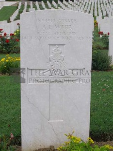 ANCONA WAR CEMETERY - WEBB, AUSTIN FREDERICK