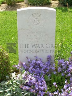 ANCONA WAR CEMETERY - WILSON, THOMAS HENRY