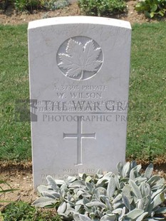 ANCONA WAR CEMETERY - WILSON, WILLIAM