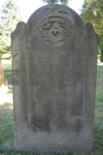 FORT PITT MILITARY CEMETERY - NELSON, JAMES HORATIO